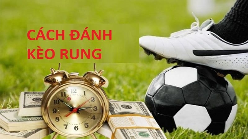 Kinh nghiệm đặt kèo rung